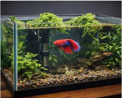 Best Tank Shapes for Bettas