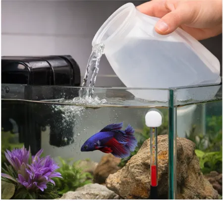 How Often to Clean a Betta Tank