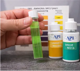 How Often to Clean a Betta Tank