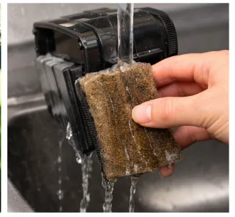 How Often to Clean a Betta Tank