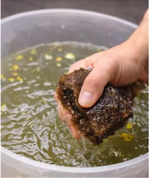 How to Clean a Betta Tank