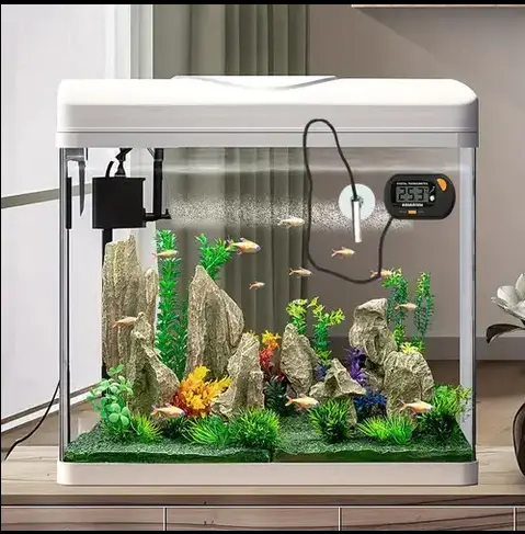 installing heater and sponge filter in betta aquarium