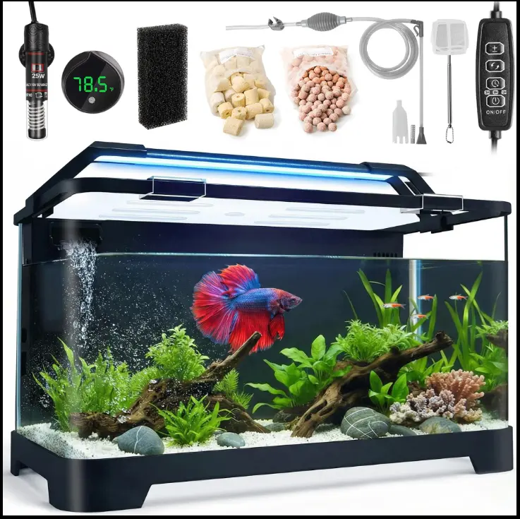 How to Set Up a Betta Tank
