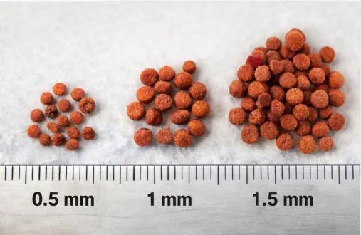 betta fish pellet size comparison 0.5mm 1mm 1.5mm